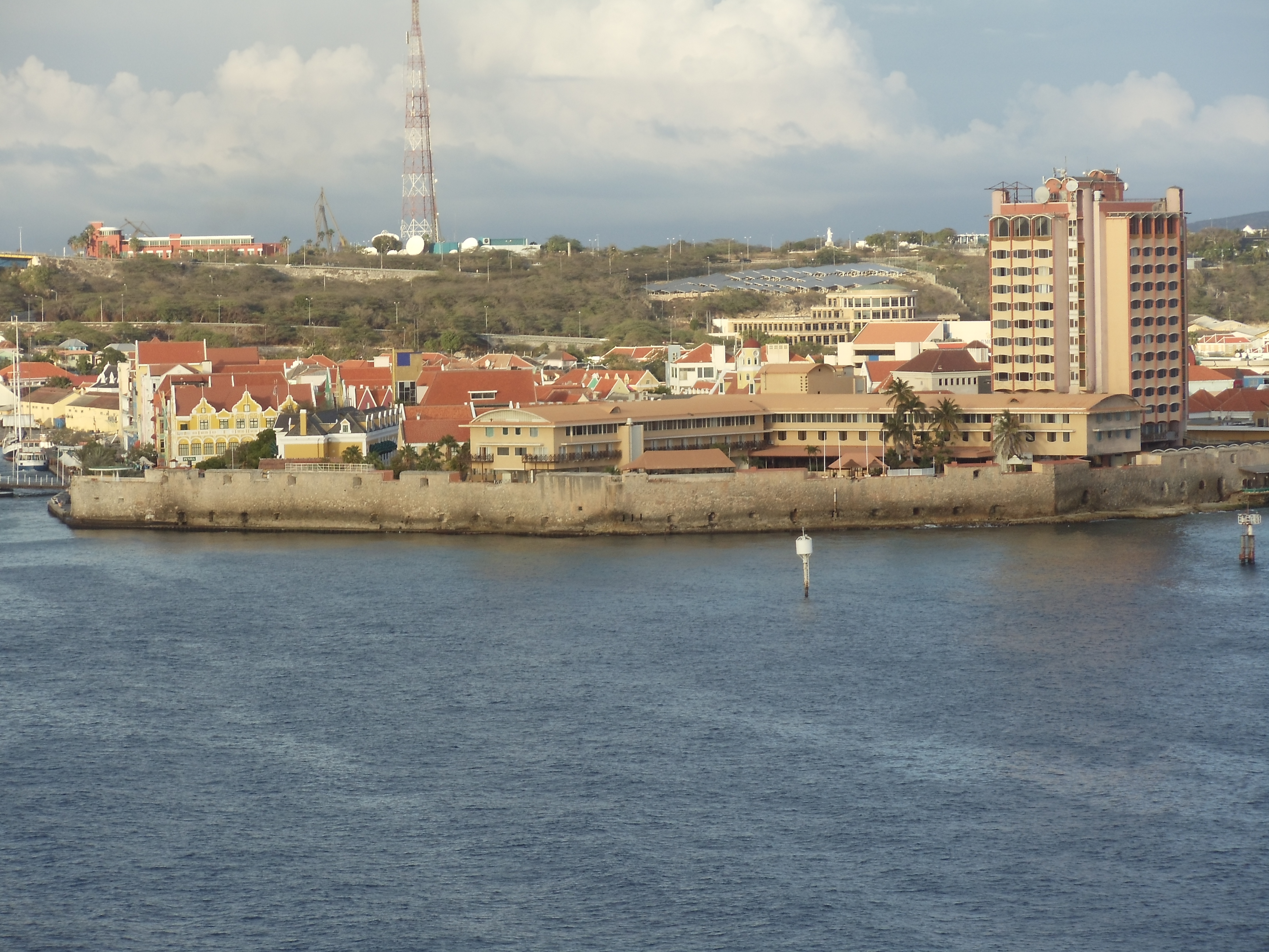 ORANJESTAD, ARUBA - DECEMBER 15, 2020: People cutting leaves off